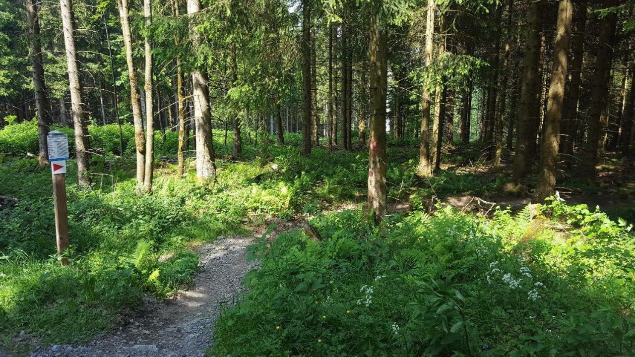 Ferienwohnung Little Home In Winterberg-Neuastenberg 외부 사진